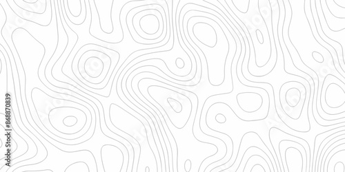 Topographic wave grid map. Geographic mountain relief. Abstract lines background. Topo contour map on white background, Topographic contour lines map seamless pattern.