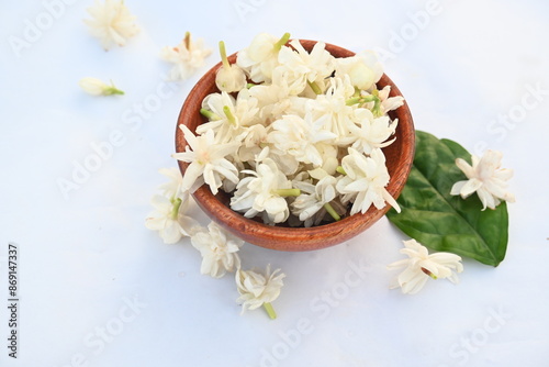 Jasminum sambac flower. The flower may be used as a fragrant ingredient in perfumes and jasmine tea. In India known as Mogra flower and beli flower. Its other names Arabian jasmine and Sambac jasmine.