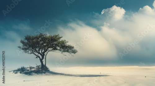 A lone tree stands tall against a backdrop of fluffy clouds and a vast, open sky.