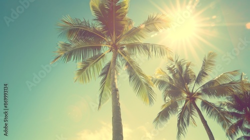 This photograph highlights tropical palm trees with the sun dramatically breaking through their leaves, casting a warm glow and shadows, under a soft blue sky.