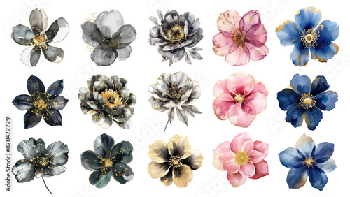 Watercolor flower illustration png cut out set