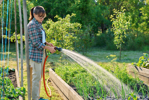 Woman watering vegetable plants on raised garden bed with hose