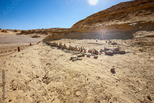 Egypt, Fayoum area, Wadi el Rayan, Whale Valley, Wadi el Hitan