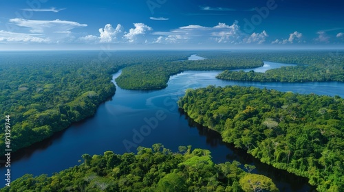 panoramic view of the Amazon rainforest, showcasing the vast expanse of dense foliage and winding rivers under a clear blue sky Generative AI