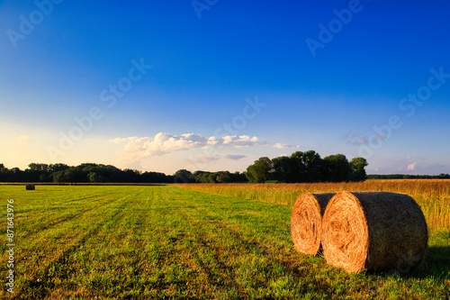 Heuballen - bales of hay - field - harvest - summer - straw - farmland - blue cloudy sky - golden - beautiful - freshly - countryside - haystacks - harvesting - background 