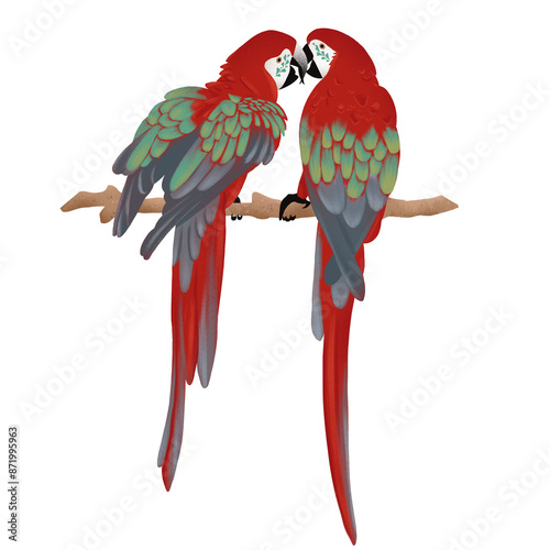 Arara vermelha, arara, ave, pássaro, amor, namorados, amizade, Amazônia, tropical, ilustração, fauna, floresta, brasil, estampa, embalagem, rótulo, natureza, pena, asas, carnaval, rio de janeiro