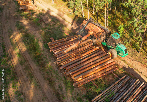 Crane forwarder machine during clearing of forested land. Wheeled harvester transports raw timber from felling site out. Harvesters, Forest Logging machines. Forestry forwarder on deforestation.