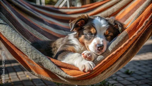 Cute puppy sleeping in hammock on the beach 