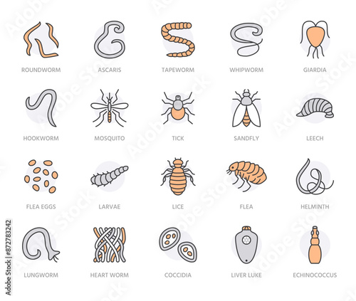 Parasites flat line icons set. Intestinal worm, helminth, sandfly, tick, dog flea, leech, qiardia, dengue mosquito illustrations. Outline signs for parasitology. Orange color. Editable Strokes