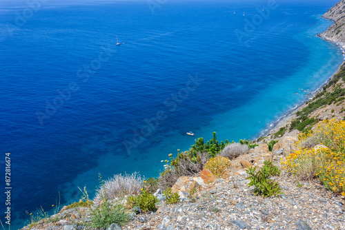 helichrysum yellow flowers, and shrubs of the Mediterranean scrub contrast with the cobalt blue and light blue sea of ​​the Costa del Sole, on the island of Elba