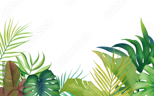 PNG Palm leaves boarder backgrounds vegetation outdoors.