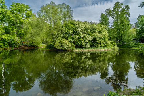 Green trees in spring on the riverbank in the city.