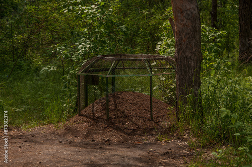 an insect colony of forest ants is a sheltered anthill from bird predators and human vandals in a city park. stakes and metal mesh protect the colony