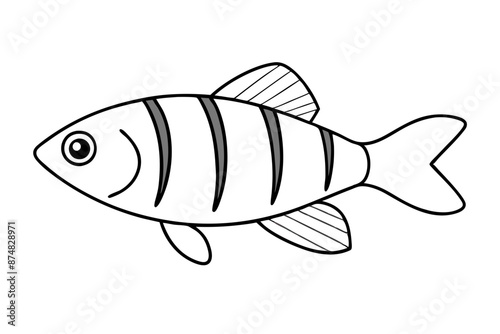 Banded rainbow fish line cut vector illustration.