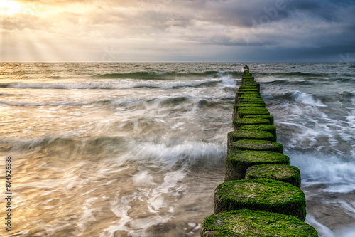 wilde Ostsee