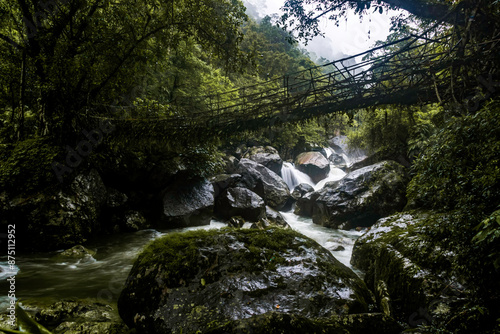 Single Living roots bridge in nongriat village in cherrapunjee meghalaya India. This bridge is formed by training tree roots over years to knit together.