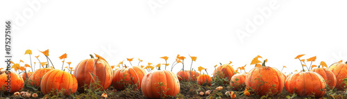 A lively pumpkin patch brimming with bright orange pumpkins and yellow flowers. This scene captures the vibrant essence of the autumn harvest season.