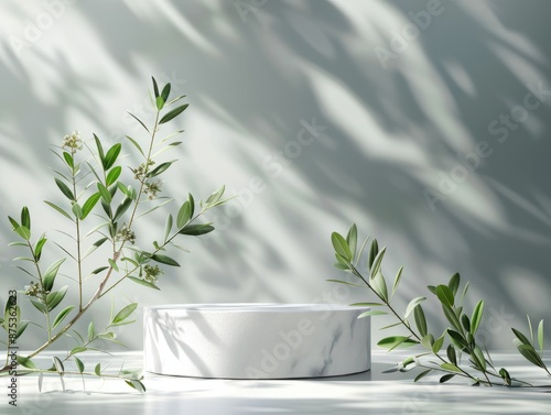 Product display podium for natural product Empty scene with olive tree branch Cosmetic mockup clean