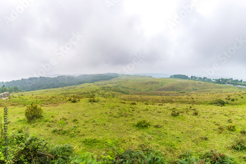 Mawphlang Sacred forest or lawkyntang is an ancient forest preserved by the local khasi people near shillong meghalaya in India.