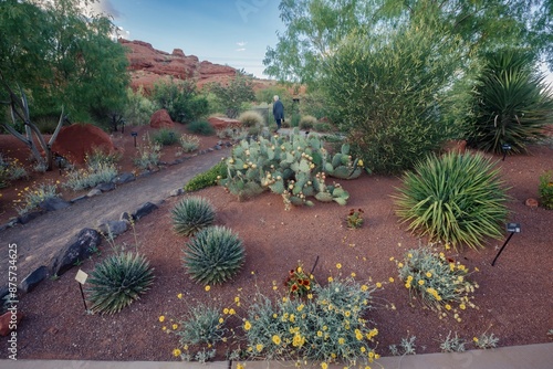 Catus plants and desert flora and fauna at the Red Hills Desert Garden, St. George, Utah, United States of America.