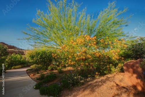 Catus plants and desert flora and fauna at the Red Hills Desert Garden, St. George, Utah, United States of America.