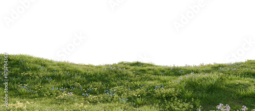 A green hill blooming with yellow and blue flowers in spring. 3D rendering.