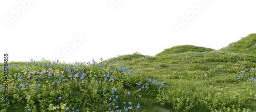 A green hill blooming with yellow and blue flowers in spring. 3D rendering.