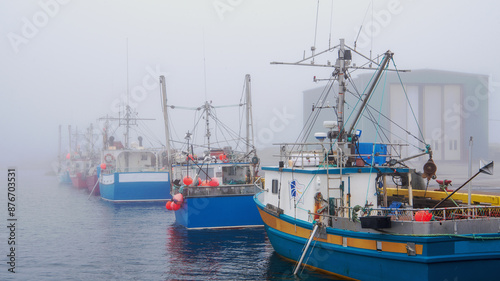 A thick fog envelops the Musgrave Harbour pier, obscuring the fleet of fishing boats moored there. When the area first settled in 1834, it was known as Muddy Hole.