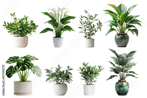 A variety of indoor plants are displayed in white and green pots, set against a plain white background. The plants include a peace lily, a monstera, a ficus, and others