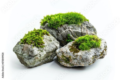 A pair of natural stones covered with lush green moss