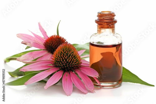 Echinacea for respiratory illnesses Herbal tincture with flowers and leaves Natural remedy