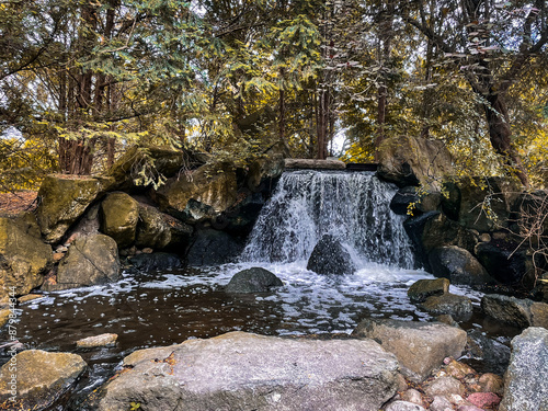 waterfall in the forest