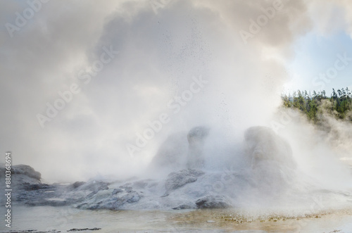 Grotto Geyser at Yellowstone National Park