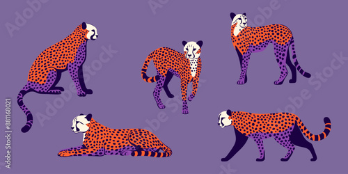 Gepard. Kolekcja dzikich kotów. Ilustracja wektorowa.