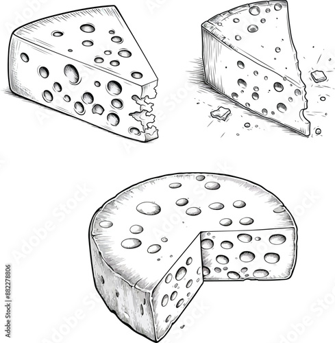 A collection of hand drawn engraving style cheese vector illustrations for print.