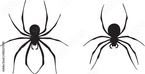 set of black spider silhouette