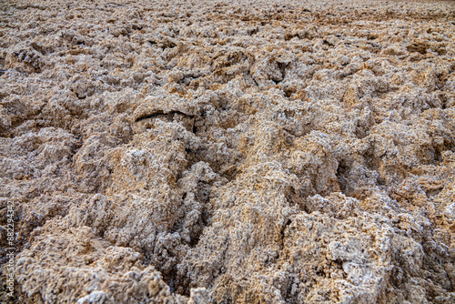 Soil science. An ephemeral lake in the desert that does not periodically fill with water. Puffed solonchak, saline deposits at the current time. Iranian deserts. Heave closeup