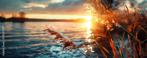 Cinemagraph of a serene lake at sunset, the waters gentle movement contrasting the stillness of surrounding nature