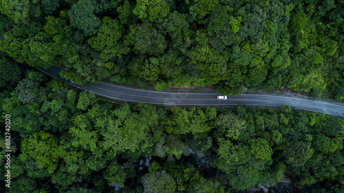 Aerial view car driving on asphalt forest road in green forest tree, Car on forest road green tree adventure forest road trip travel ecosystem ecology environment, Nature adventure travel trip.