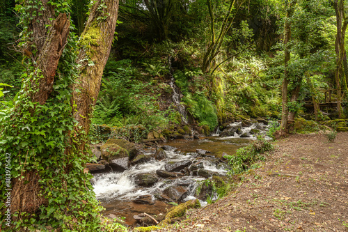 Gandaras river, Vilasantar, La Coruña, Galicia