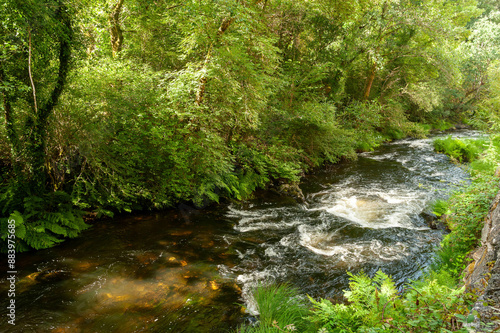 Gandaras river, Vilasantar, La Coruña, Galicia