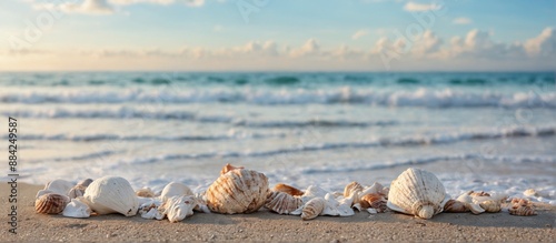 beautiful landscape beach clear blue sky ocean background