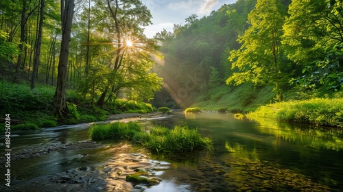 Stunning Green Forest with River and Bright Sky: Canon EOS 5D Mark IV Capture with 24mm f/1.4 Lens