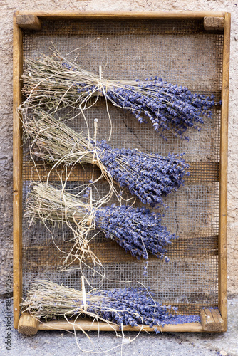 Four bouquet of dried lavender, hanged up