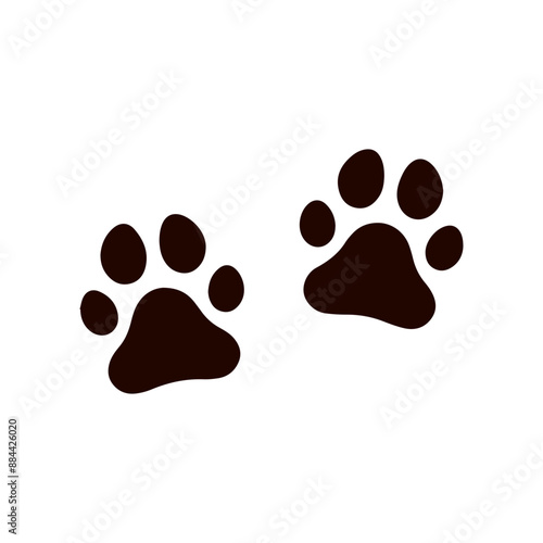 cat paw vector