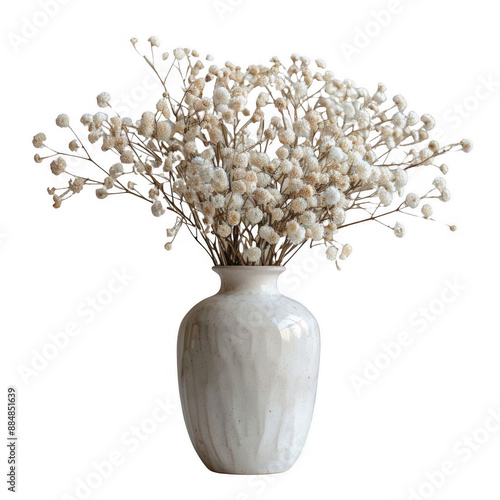 Elegant white vase with a bouquet of delicate white flowers on a white background, perfect for home decor and interior design.