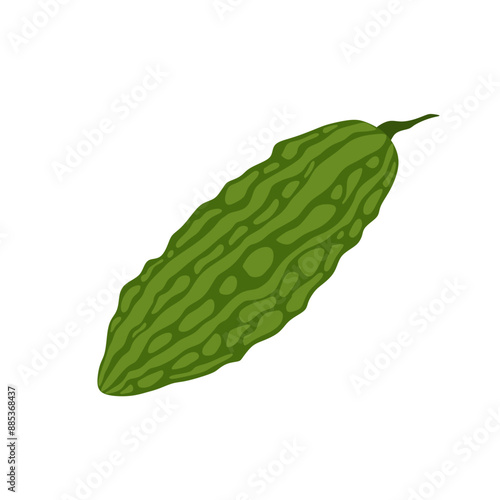 bitter gourd flat design vector illustration isolated on white background. Bitter melon vegetables with green leaf. Good organic food for healthy. Green fruit or vegetable.Balsam pear medical food