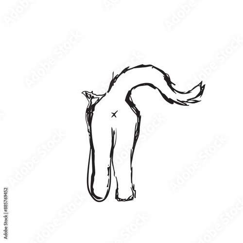 Black and white cat ass, fluffy pet testicles and tail, kitten anus and genital draw cat. Hand drawn kitten