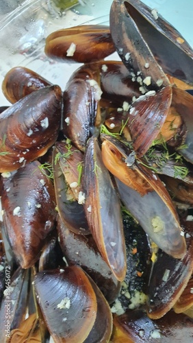 Mussles