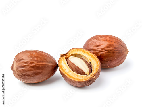 candlenut isolated on white background 